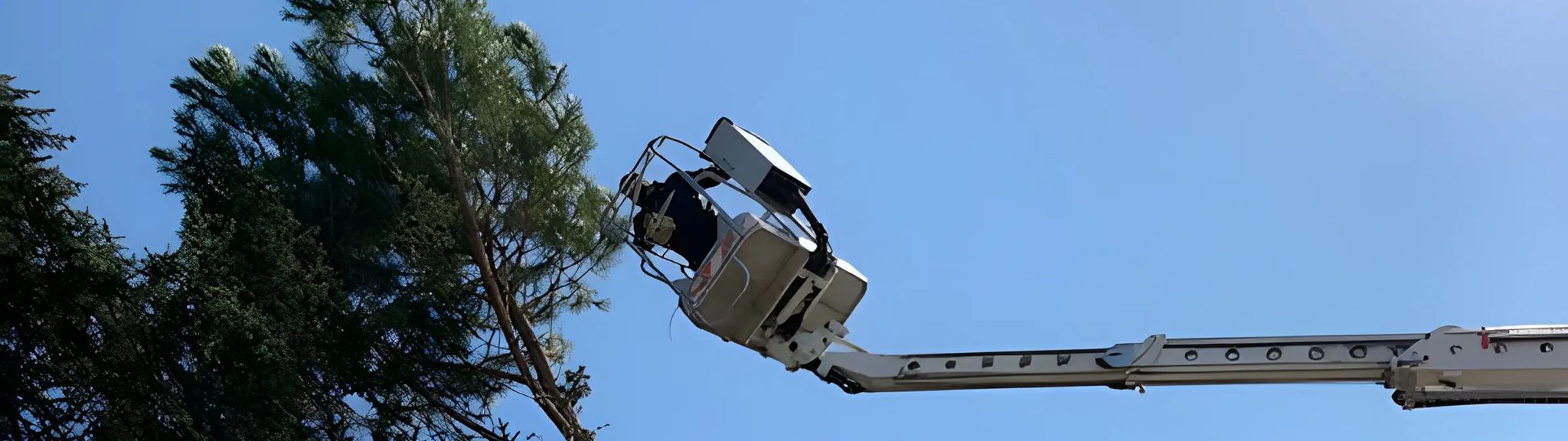 Élagage abattage arbres Chalon-sur-Saône 71100