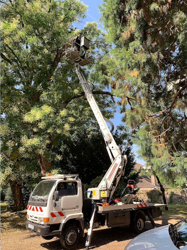Expert élagage abattage arbres Chalon-sur-Saône