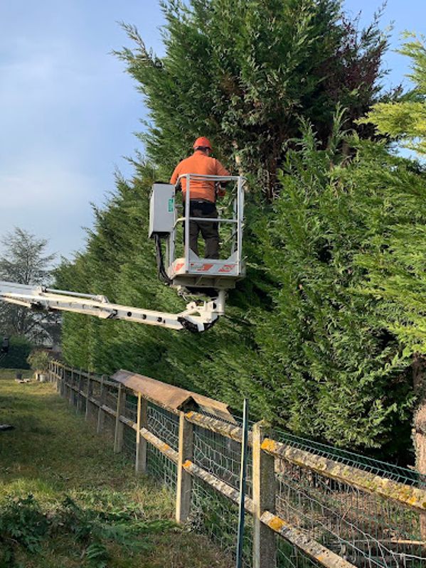 Taille haies entretien espaces verts Saône-et-Loire