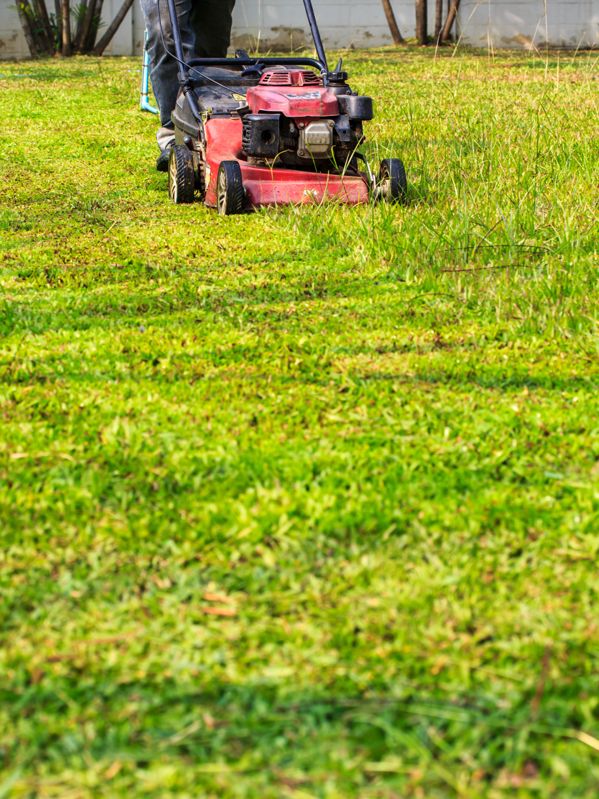 Tonte de pelouse Chalon-sur-Saône